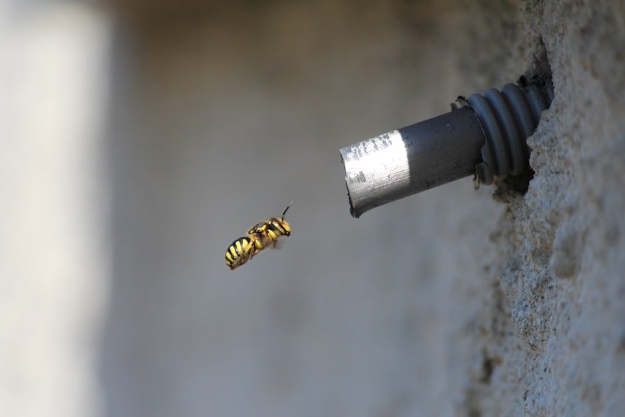 spark plugs