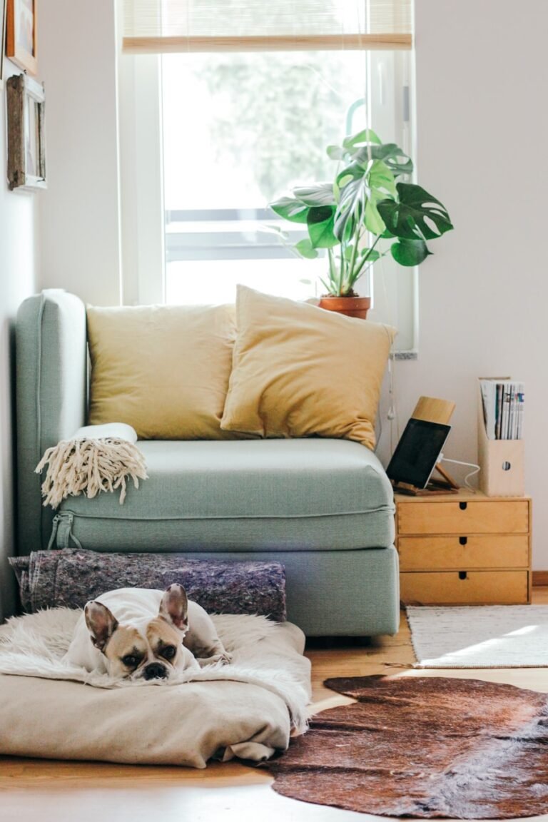 Photo "How to arrange furniture in a small living room?"