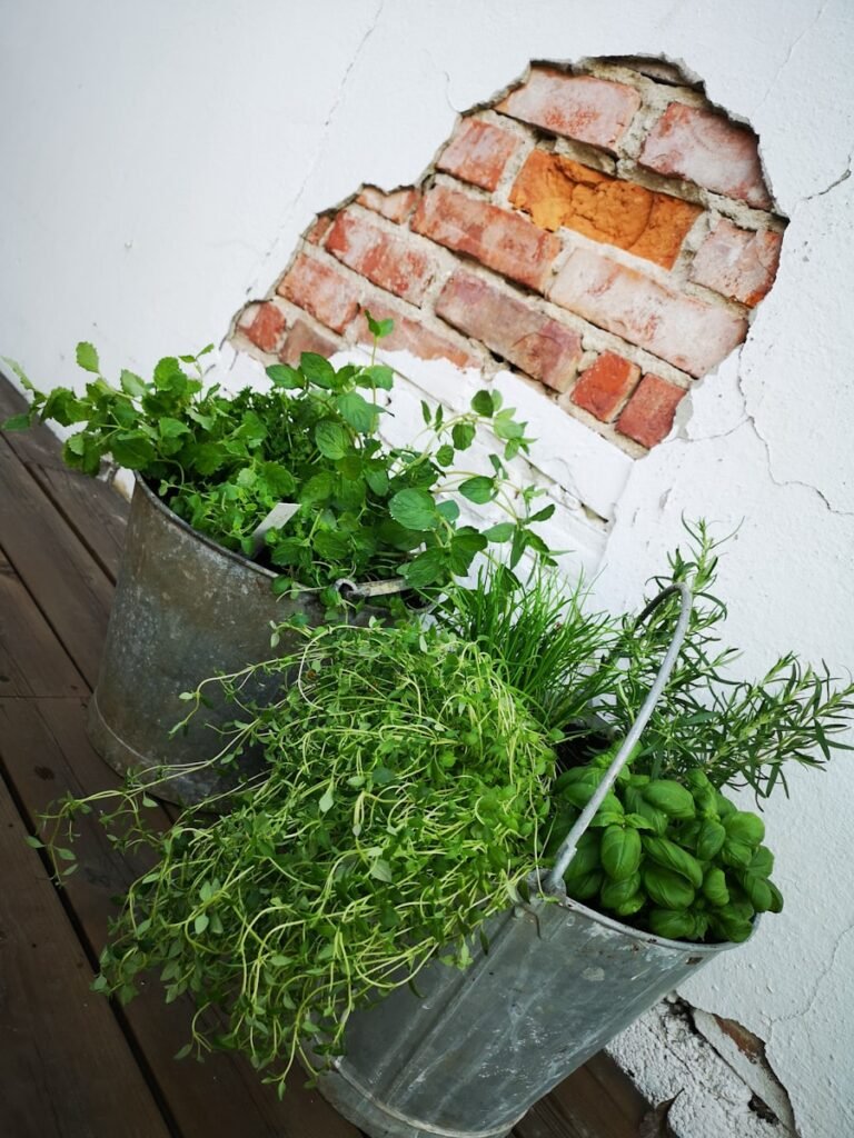Photo How to store fresh herbs to last longer?