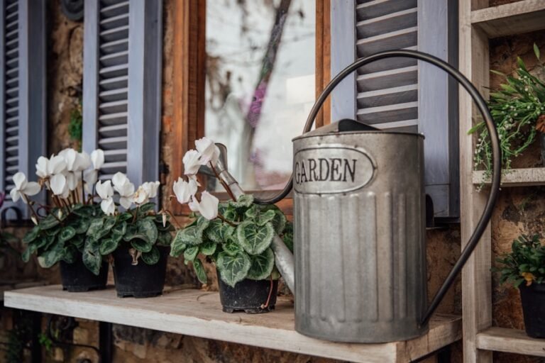 Photo How do I choose a tin can lantern for my home?