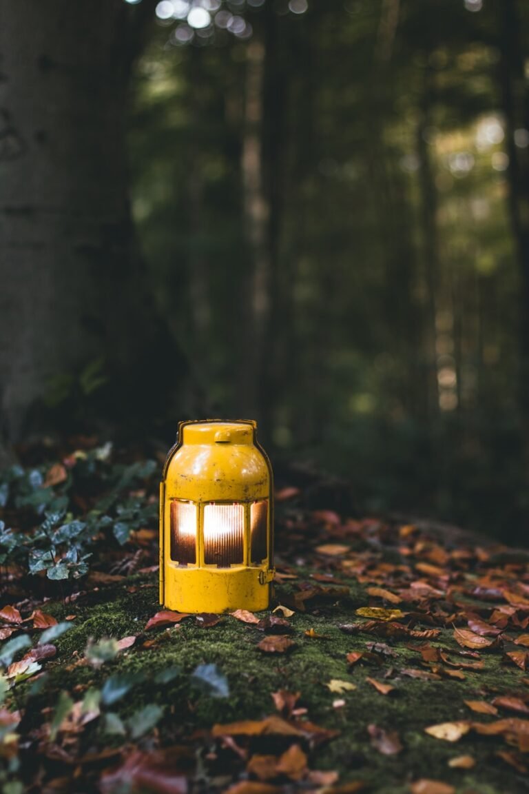 Photo What is the best tin can lantern in 2025?