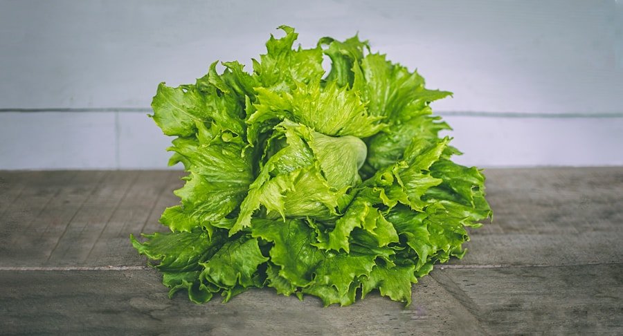 Photo How to keep lettuce crisp after washing?