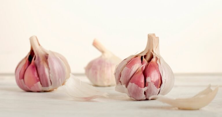 Photo How to prepare garlic confit safely?