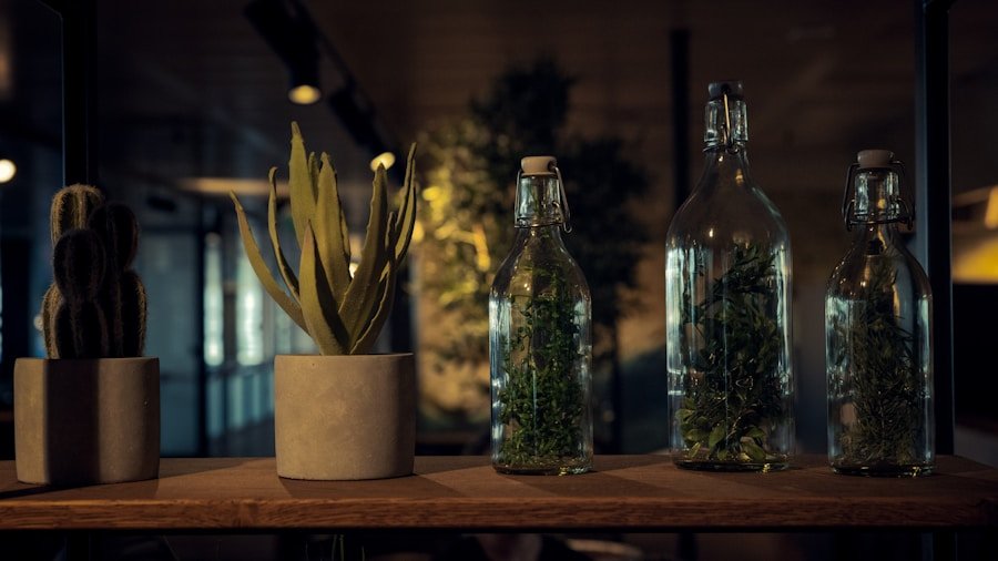 Photo What is the best glass bottle planter in 2025?