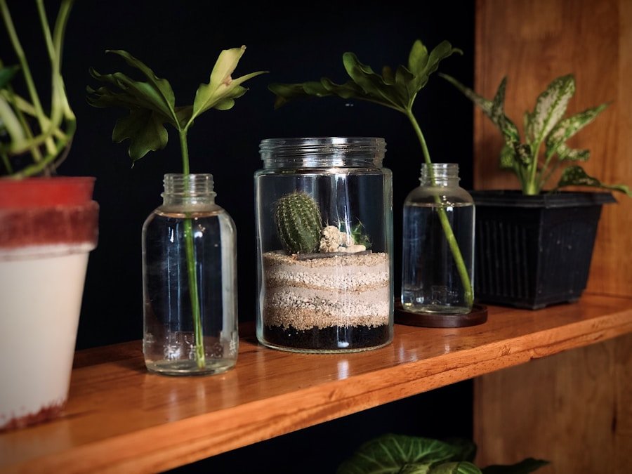 Photo How do I choose a glass bottle planter for my home?