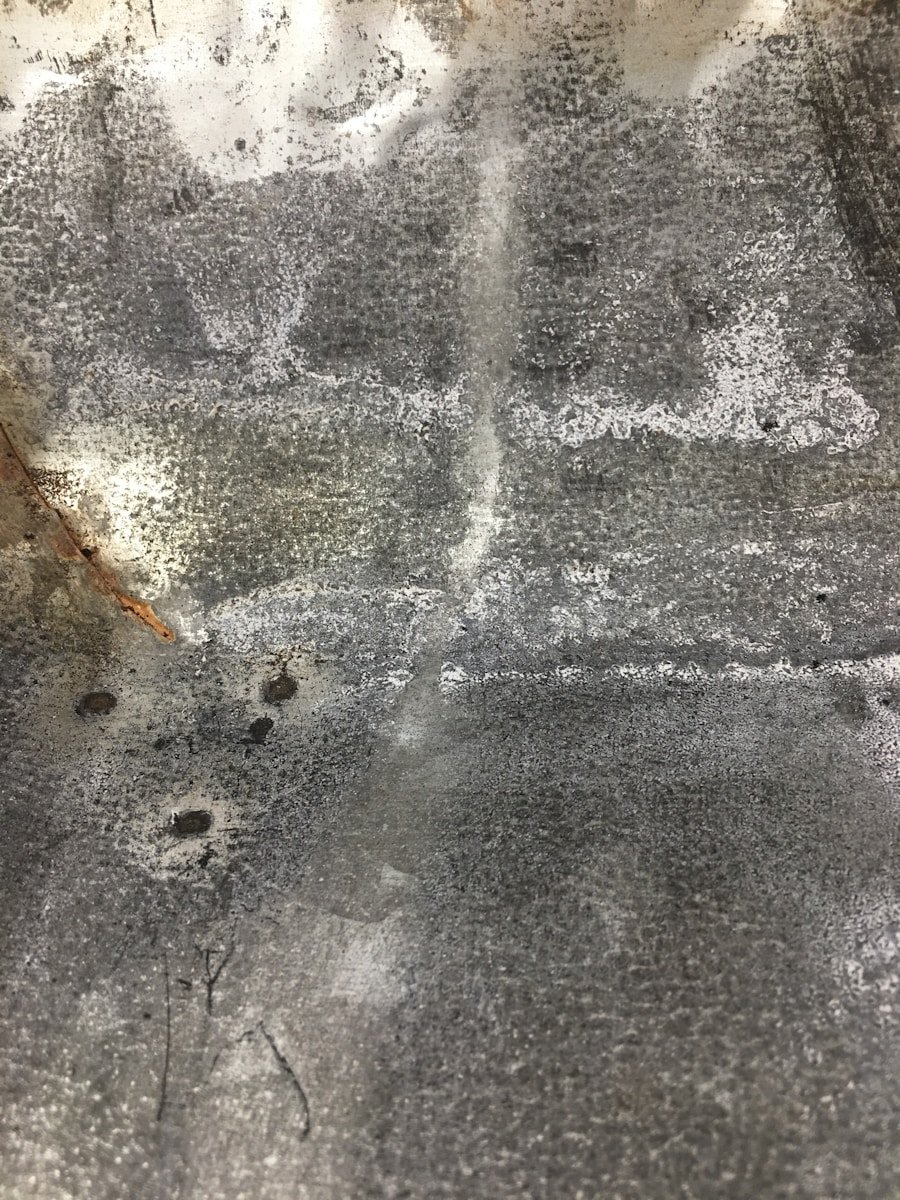 Photo How to clean an oven?