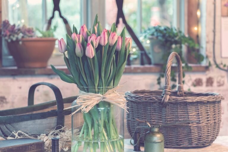 Photo How do I choose a spring cleaning for my home?