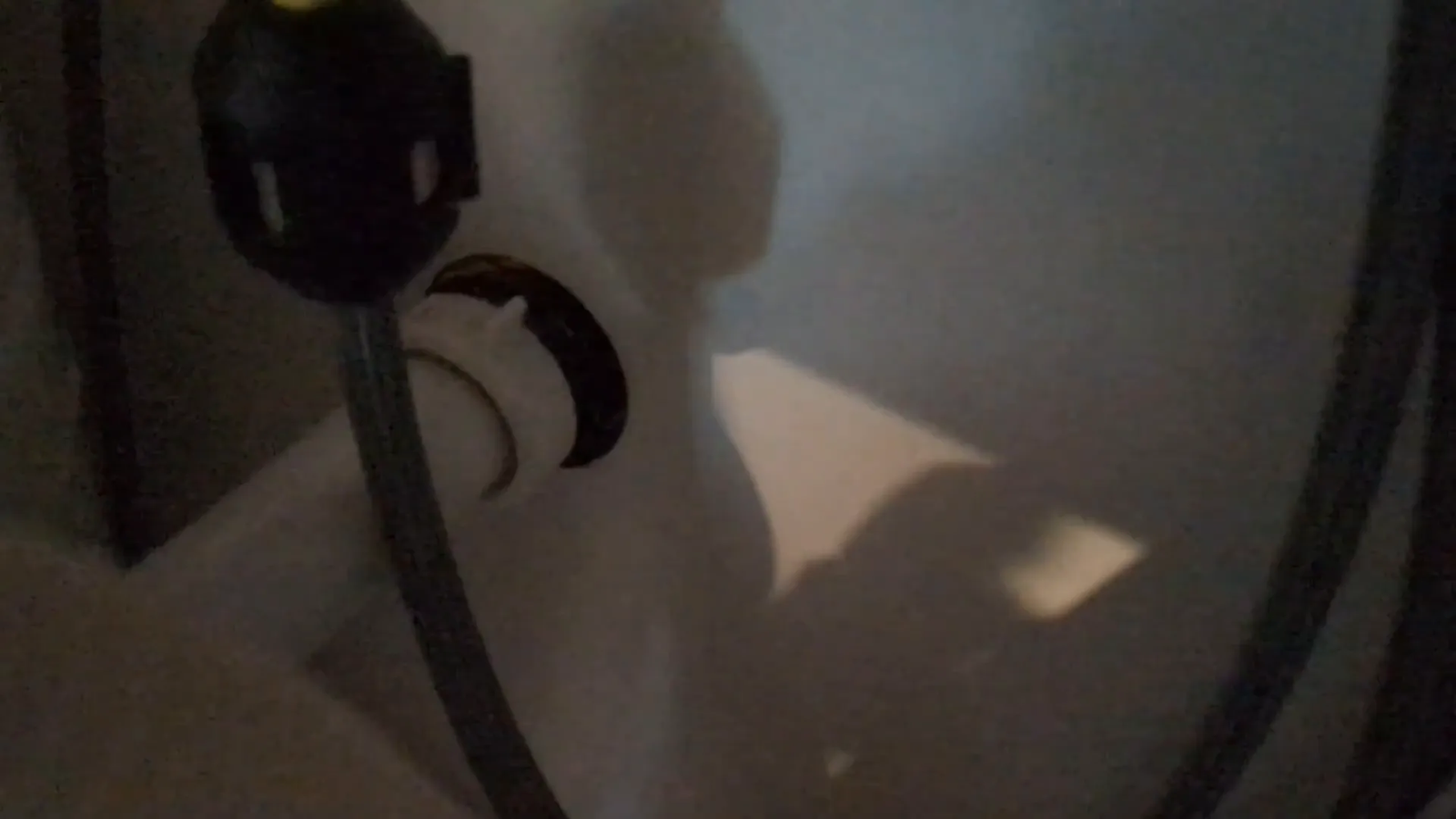 Moen faucet hose weight positioned above drain line