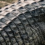 Photo tires wearing unevenly