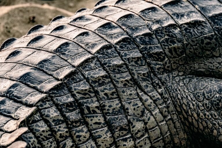 Photo tires wearing unevenly