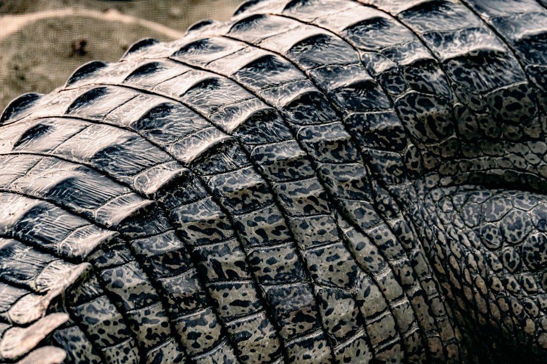 Photo tires wearing unevenly