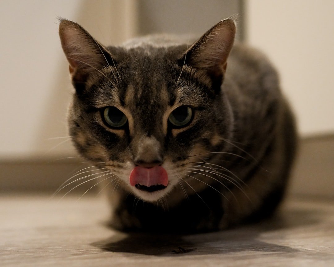 Photo tongue weight