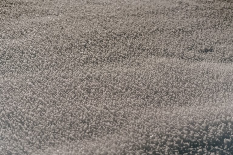 Photo deep clean car carpets