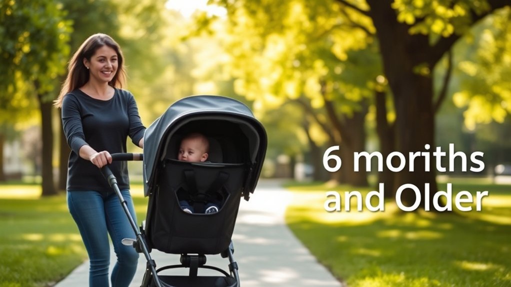 umbrella stroller safety precautions including harness brakes and locking mechanism
